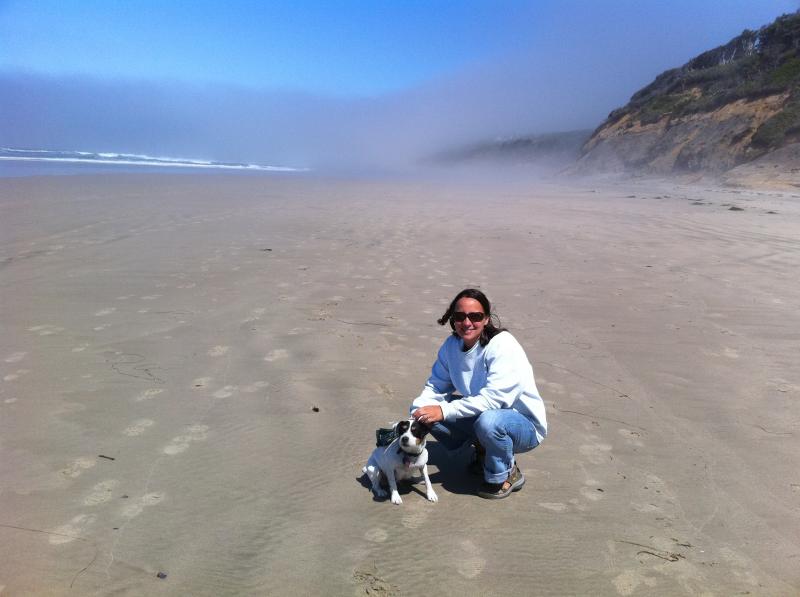 Dog and person on beach