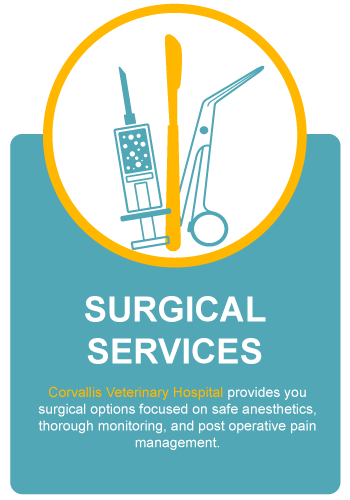 Surgical Services Banner